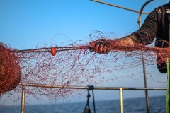 El Consell Insular destina 60.000 euros en ayudas a las cofradías de pescadores de Menorca