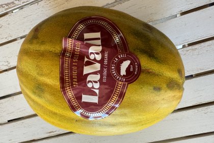 The melons of La Vall