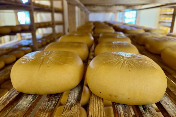 Visites guiades al lloc de S'Aranjassa des Mercadal