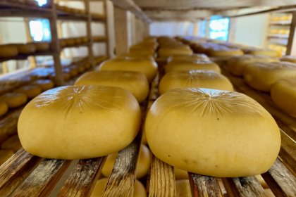 Guided visits to the S'Aranjassa farm in Es Mercadal.