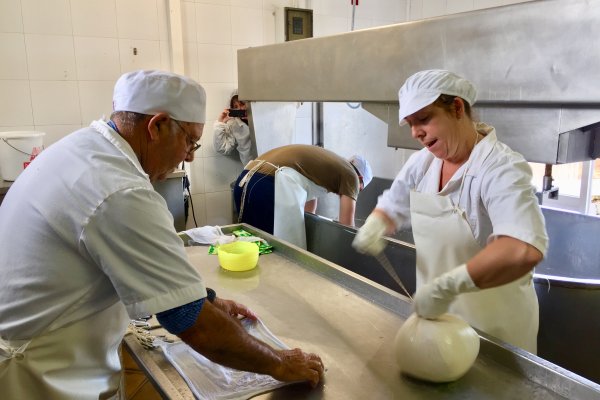 L'expérience de vivre la campagne de Minorque avec Sa Cooperativa