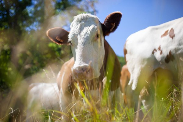 El departamento de Economía apoya la promoción de los productos de COINGA