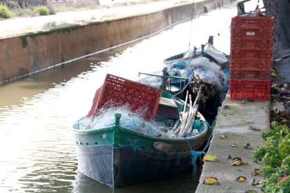 Les pêcheurs mettent en garde contre la "catastrophe naturelle" provoquée par le barrage : "Sans qualité de l'eau, l'Albufera meurt"