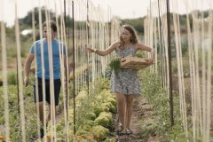 Le Département de l'Économie et des Services Généraux alloue 32 000 euros à l'Association des Producteurs d'Agriculture Biologique de Minorque