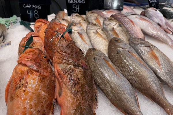 El crit del Mediterrani: pescadors, peixateries i restaurants, al límit