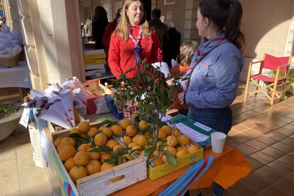 Activitats gastronòmiques per Sant Antoni 2025 a Menorca