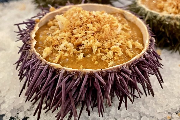 The stuffed sea urchins from the Aquarium restaurant